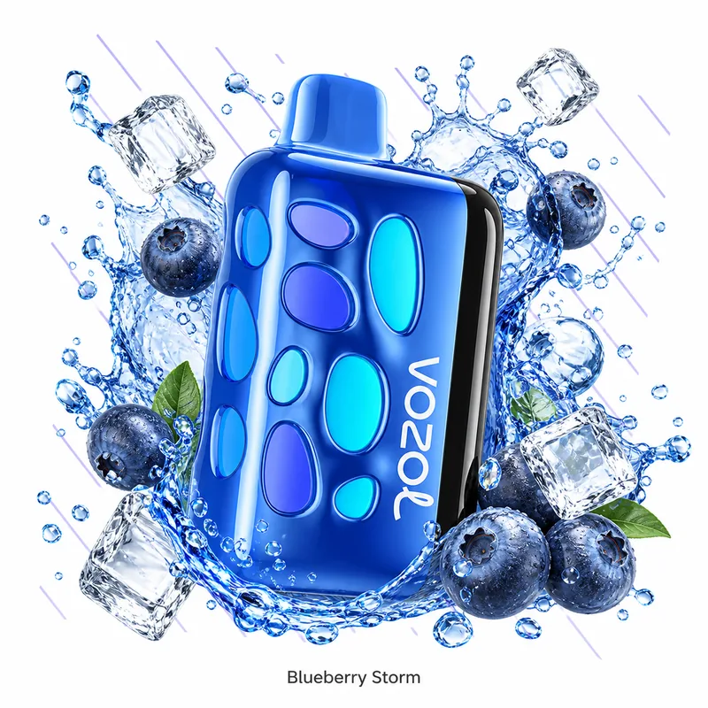 Vozol Rave 40000 — Blueberry Storm