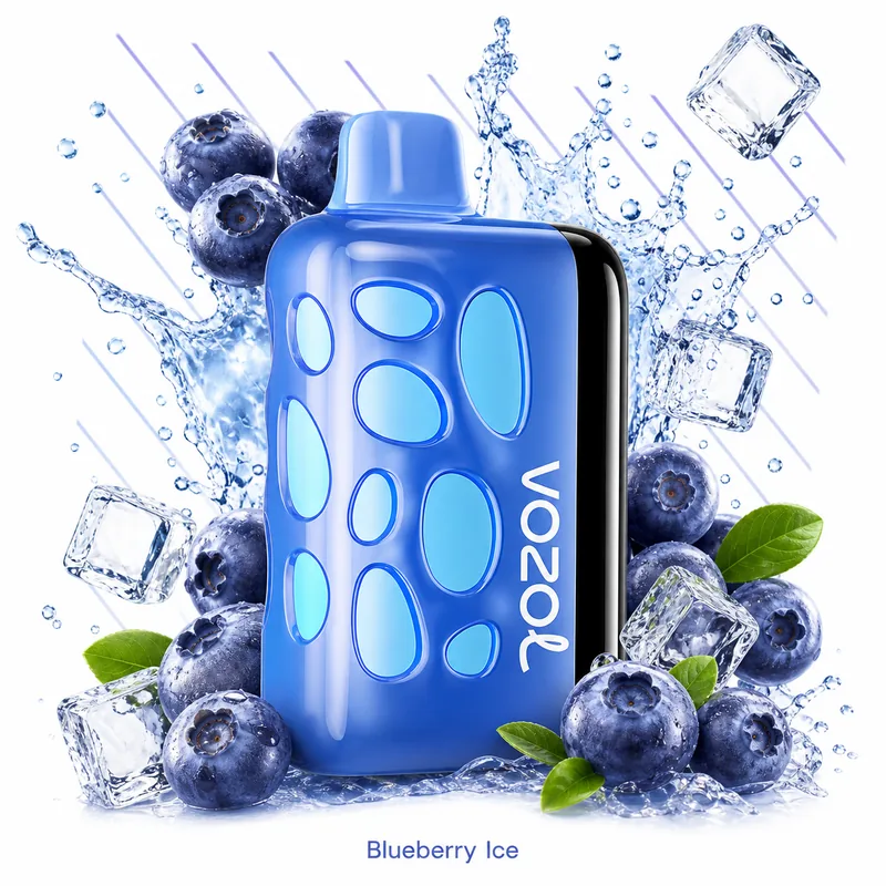 Vozol Rave 40000 — Blueberry Ice