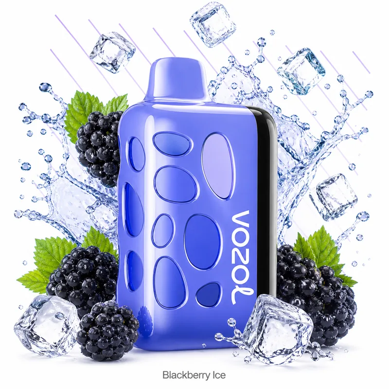 Vozol Rave 40000 — Blackberry Ice