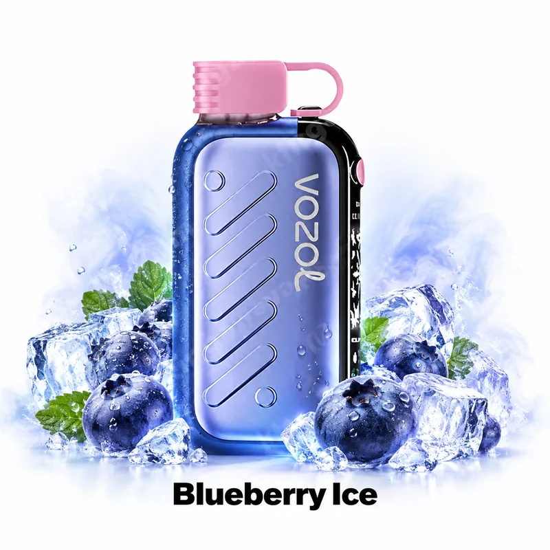 Vozol Gear 50000 — Blueberry Ice